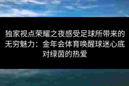 独家视点荣耀之夜感受足球所带来的无穷魅力：金年会体育唤醒球迷心底对绿茵的热爱