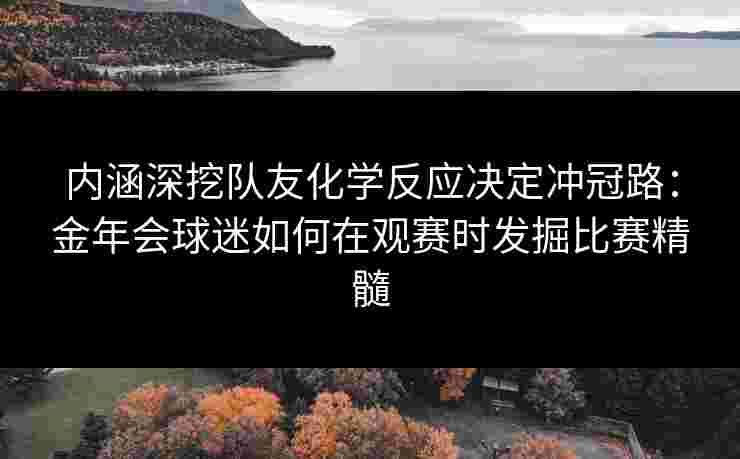 内涵深挖队友化学反应决定冲冠路：金年会球迷如何在观赛时发掘比赛精髓