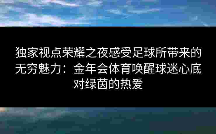 独家视点荣耀之夜感受足球所带来的无穷魅力：金年会体育唤醒球迷心底对绿茵的热爱