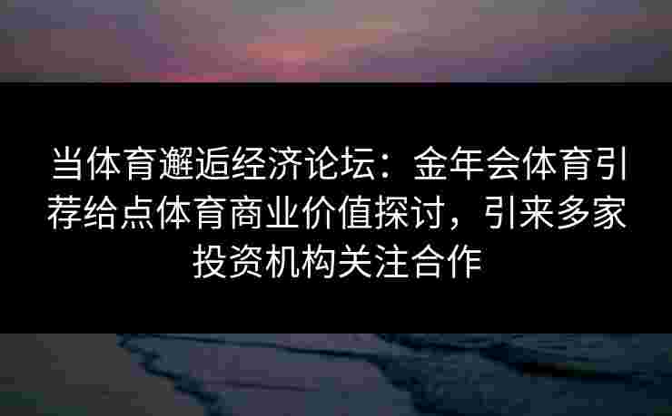 当体育邂逅经济论坛：金年会体育引荐给点体育商业价值探讨，引来多家投资机构关注合作